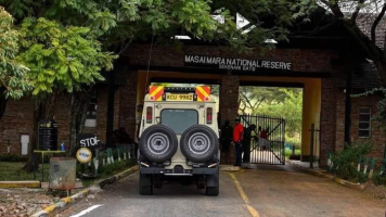 Angellix Tours and Travel